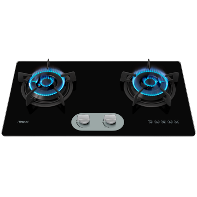 Bếp gas Rinnai RVB-220G(BG)